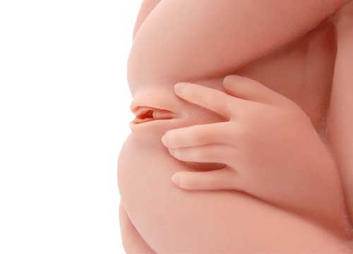 Реалистичный торс «девушка» в телесном цвете с тремя тугими отверстиями, вибрацией, ротацией и голосом KOKOS «Hera 3» M10-03-25V