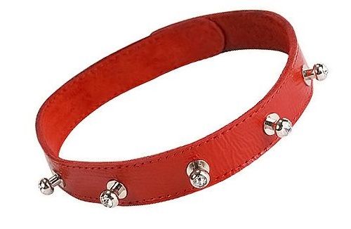 Красный кожаный ошейник с фурнитурой со стразами Sitabella 3106-2