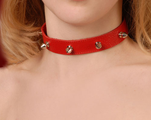 Кожаный красный ошейник на кнопках с шипами Sitabella 3102-2