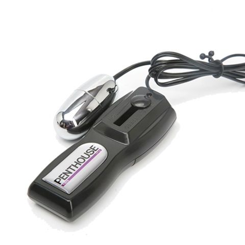 Телесные вагина с анусом и вибрацией Topco Sales Emily Addison Vibrating CyberSkin Pet Pussy Ass1091260