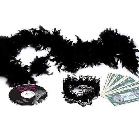 Танцевальный шест серебристого цвета Topco Sales Private Dancer Pole Kit 1014587