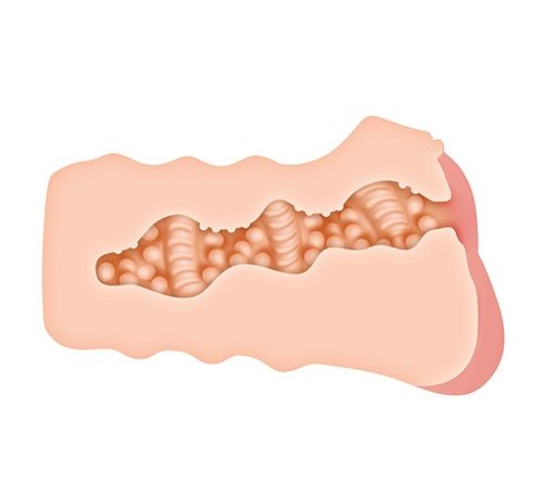 Телесный мастурбатор-вагина Zero Tolerance RILEY REID REALISTIC VAGINA STROKER ZE-MS-1202