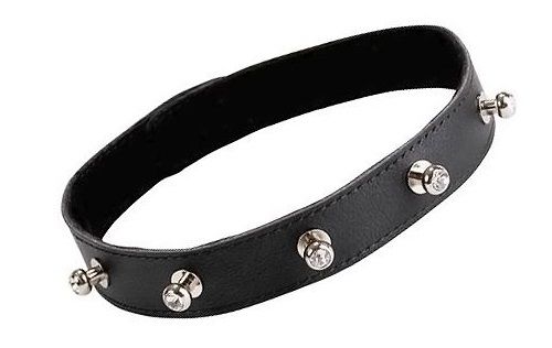 Чёрный кожаный ошейник с фурнитурой со стразами Sitabella 3106-1