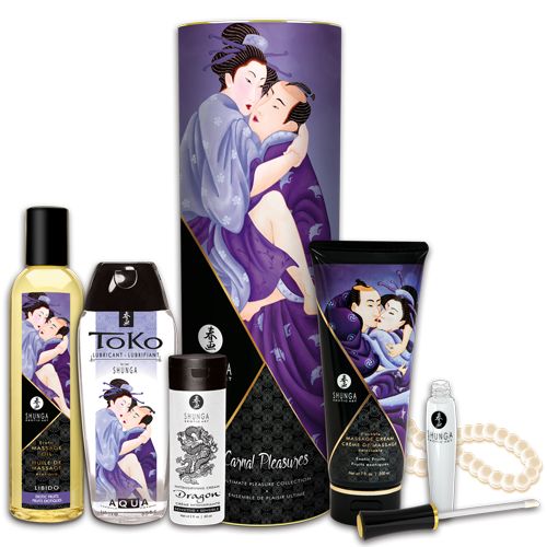 Подарочный набор Shunga CARNAL PLEASURES 9007