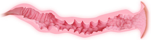 Телесный мастурбатор с двойным слоем материала KOKOS Veronia M01-003-06D