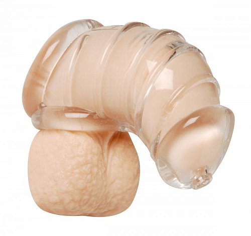 Прозрачная насадка для ограничения эрекции XR Brands Detained Soft Body Chastity Cage AE408