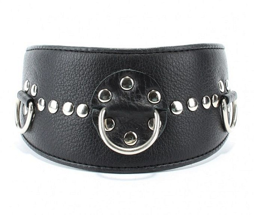 Чёрный кожаный ошейник с полукольцами и клёпками БДСМ арсенал 55022