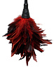 Кисточка с красно-чёрными пёрышками Pipedream FRISKY FEATHER DUSTER PD3756-15 (36 см)