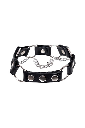 Чёрный ошейник с кольцами и цепочкой Штучки-дрючки 690221