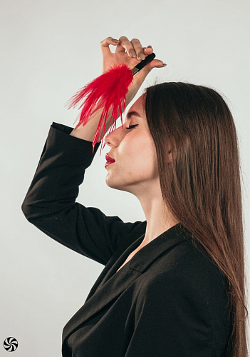 Красный перьевой тиклер Lola Lingerie Plume 1082-01lola (23 см)