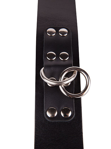 Чёрный кожаный ошейник с кольцом и клепками Sitabella 3195-1