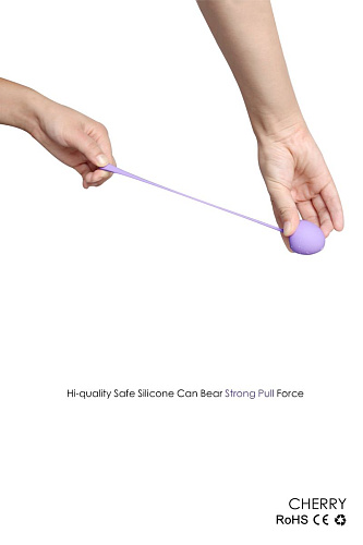 Разноцветный набор из 5 вагинальных силиконовых шариков S-HANDE CHERRY SHD-011