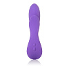 Фиолетовый перезаряжаемый вибратор со стимуляцией клитора California Exotic Novelties Silhouette S17 SE-4593-45-3