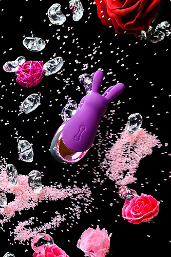 Фиолетовый стимулятор эрогенных зон Eromantica BUNNY 120301 (21,5 см)