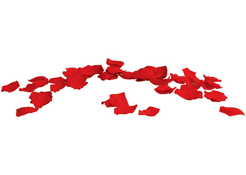 Декоративные лепестки розы красного цвета Ёska With Love Rose Scented Silk Petals 1014684