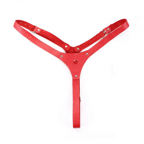Красные кожаные трусики со штырьком БДСМ арсенал 52020ars