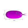 Лиловое виброяйцо на пульте ДУ Baile Joyce BI-014362W-10