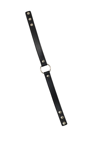 Чёрный ошейник Lola toys Intrigue 1090-01lola