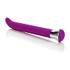 Фиолетовый вибратор California Exotic Novelties 10-Function Risque G Vibes SE-0560-50-3 (14,5 см)