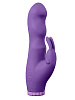 Фиолетовый вибратор с клиторальным стимулятором Dream Toys PURRFECT SILICONE DELUXE RABBIT 100FNCT 21298 (20 см)