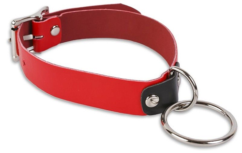 Красный ошейник с колечком Пикантные штучки DP539