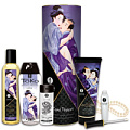 Подарочный набор Shunga CARNAL PLEASURES 9007