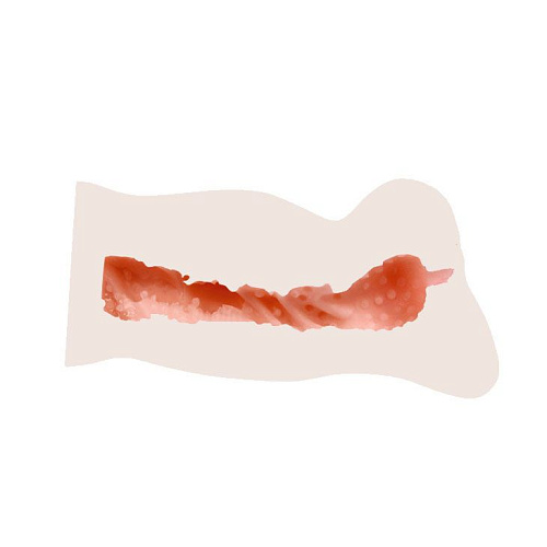 Вибрирующий мастурбатор со входом в виде вагины телесного цвета Baile BM-009134H