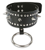 Чёрный ошейник с заклёпками и кольцом Пикантные штучки DP070