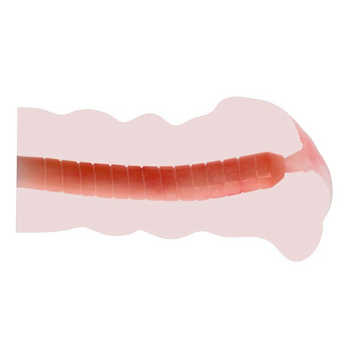 Мастурбатор телесного цвета «Сладкая Акими» без вибрации Baile BM-009132N