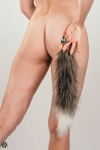 Серебристая анальная пробка с чёрным хвостом Lola toys Galaxy 4019-01lola