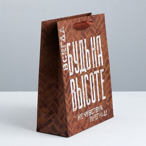 Коричневый подарочный пакет Сима-Ленд «Не чувствуй преград» 3680960 (30×26×9 см)