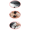 Набор для бондажа на кровати Ultimate Bed Restraint System Pipedream PD2191-23