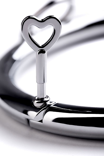 Металлический ошейник с кольцом и ключиком ToyFa 717181-S