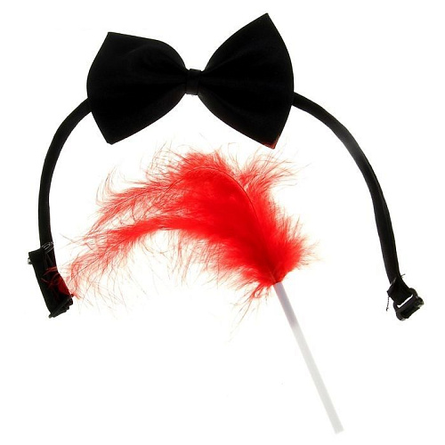 Ролевая секс-игра Сима-Ленд «Выпускной» 1012991