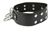 Чёрный брутальный ошейник с кольцами Пикантные штучки DP069