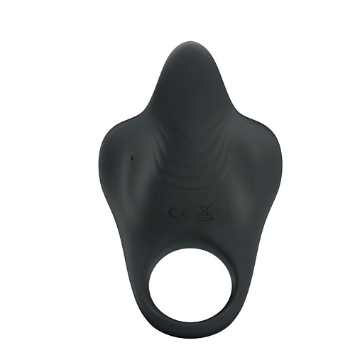 Чёрное эрекционное кольцо с вибрацией Baile Frederica BI-210190
