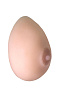 Сувенирная грудь телесного цвета LOVETOY (А-Полимер) 920003