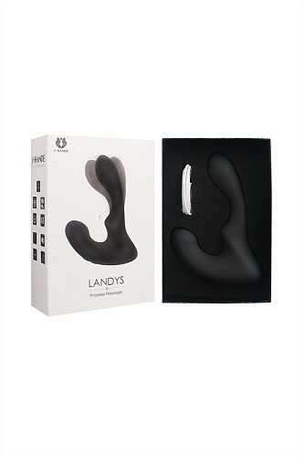 Стимулятор простаты с подсветкой и 9 режимами вибрации чёрного цвета S-HANDE Landys SHD-041