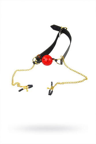 Кляп-шар с зажимами на соски и регулируемыми ремешками Romfun PR-006