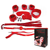 Пикантный красный набор БДСМ Bior toys NTB-80331