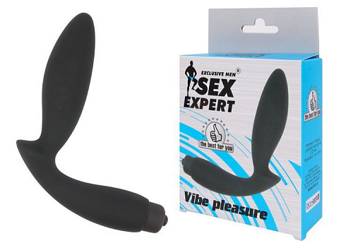 Чёрный вибростимулятор простаты Bior toys Sex Expert Vibe Pleasure SEM-55102