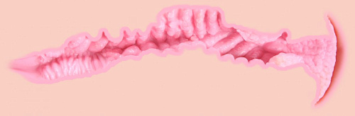 Мастурбатор телесногоо цвета в виде девушки на простыне KOKOS Valentina M01-003-08