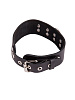 Чёрный кожаный ошейник с кольцом и клепками Sitabella 3195-1