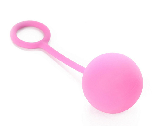 Розовый комплект вагинальных шариков Closet Collection THE ALEXANDRA BEN WA BALLS 390006