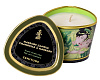 Массажная свеча с ароматом зелёного чая Shunga Exotic Green Tea  4511