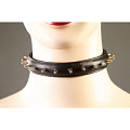 Чёрный узкий декоративный ошейник с шипиками Подиум Р284