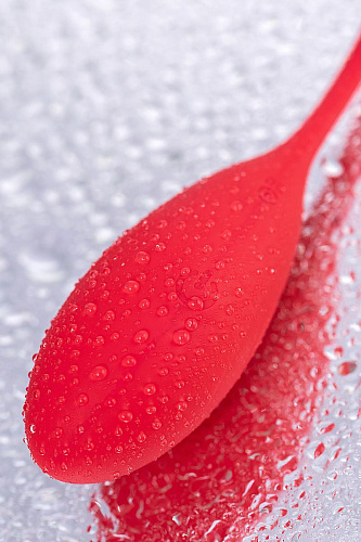 Красное виброяйцо Levett Alina 19009