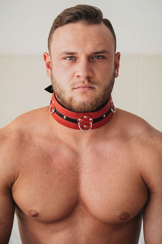 Чёрно-красный кожаный ошейник увеличенного размера БДСМ арсенал 55002xl