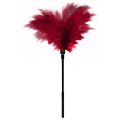 Чёрная пластиковая метелочка с красными пёрышками Blush Novelties Small Feather Tickler 520022 (32 см)