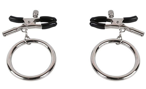 Зажимы для сосков с серебристыми колечками Пикантные штучки DPNT003